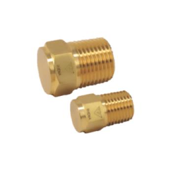 Brass Pipe Fittings